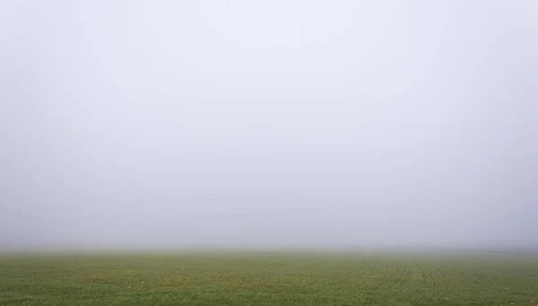 Prado Verde Com Muita Neblina Sem Nenhum Objeto Ser Visualizado — Fotografia de Stock