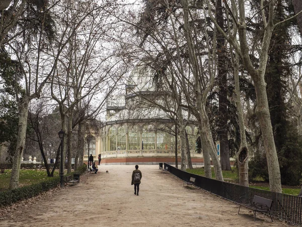 Arkasından yapraksız ağaçlarla parkta yürüyen bir kadın.