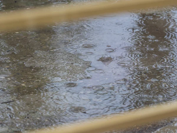 Damlacıklar iki parmaklık arasına sıkışmış su kaldırımına düşüyor.