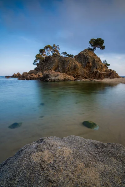 Ufukta, üzerinde ağaçlar ve ön planda suyun ortasında bir kaya olan bir ada tasviri