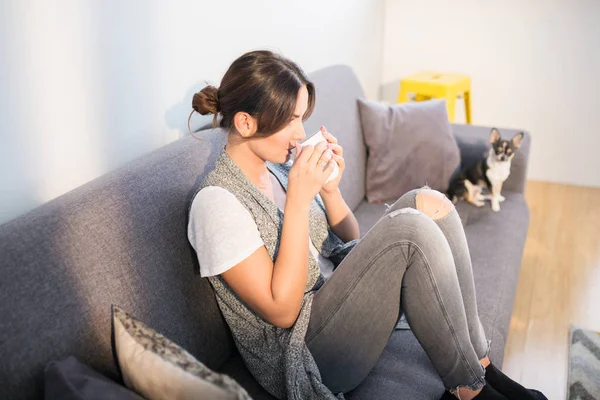 Afternoon relax with doggy — Stock Photo, Image