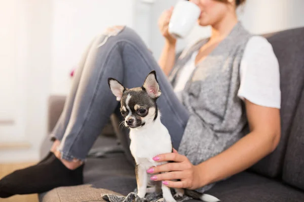 Relajarse con el perro — Foto de Stock