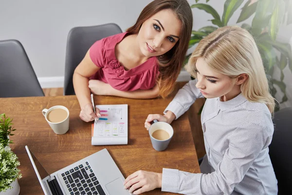 Hermosas empresarias trabajando en casa — Foto de Stock