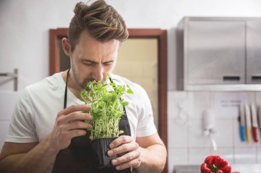 Oğul otu taze kokusu