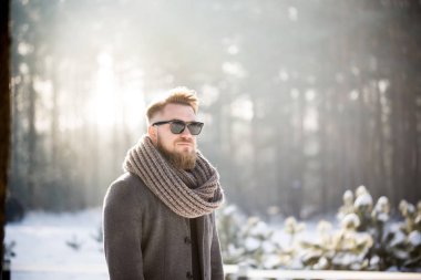 Güneşli kış günü