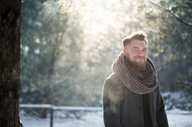 Kış ormanda sakin ol