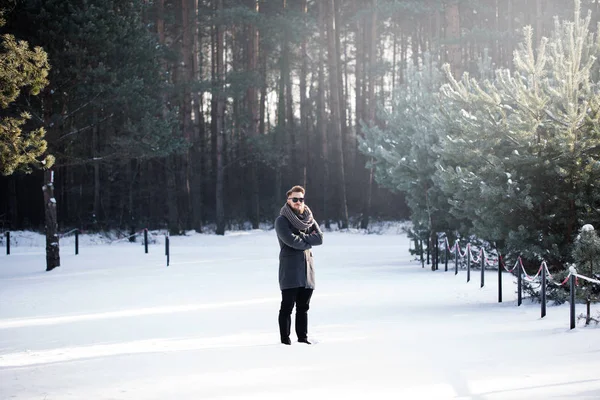 Kışın orman gibi hiçbir şey yoktur