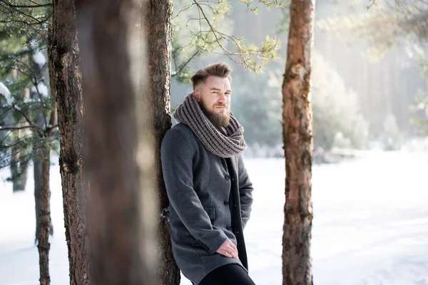 Ormandaki kış modası