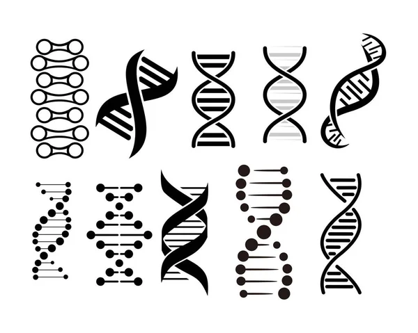 Illustrazione vettoriale DNA Helix Icon per grafica e web design . — Vettoriale Stock
