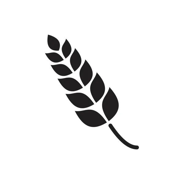 Шаблон Иконки Пшеницы Черный Цвет Редактируемый Ухо Иконки Пшеницы Символ — стоковый вектор