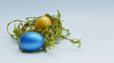 Genç söğüt dallarının yuvasında renkli Paskalya yumurtaları