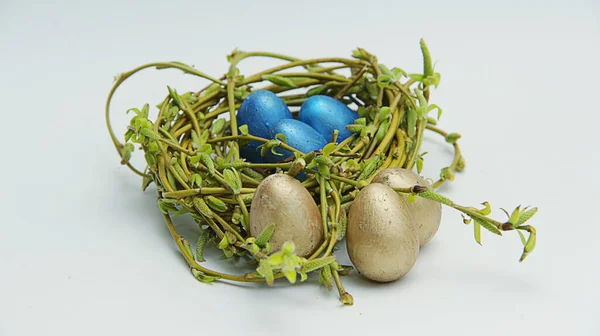 Blaue Kleine Eier Nest — Stockfoto