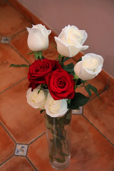 Rosas Blancas Rojas Jarrón — Foto de Stock