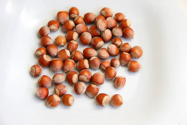 Hazelnuts Light Large Plate White Background — Stock Photo, Image