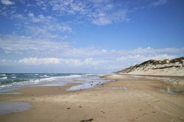 Gün batımında ağaçların silueti                               