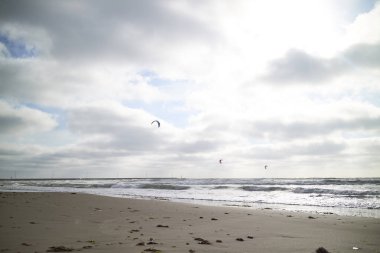 Gün batımında ağaçların silueti                               