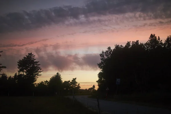 Silhueta Árvores Pôr Sol — Fotografia de Stock