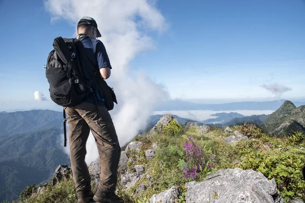 Doi Luang Chiang Dao dağ tepesinde bir gezgin erkekler ve peyzaj güzelliği yakalayın. Genç kız aşk yaban hayatı, seyahat, özgürlük.