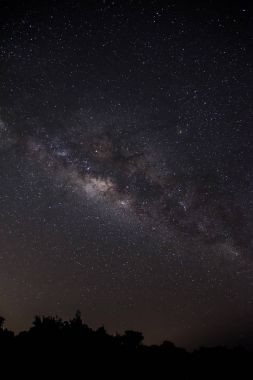 Samanyolu ağaç silueti ile