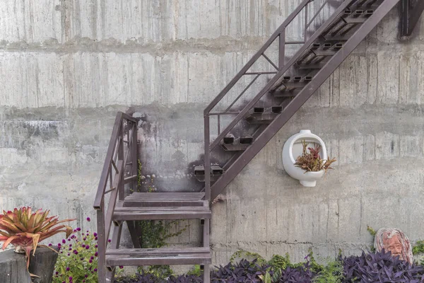 The stair with old sanitary ware & plants concrete background