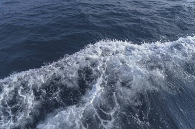 Denizin dalgaları breaking