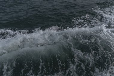 Denizin dalgaları breaking