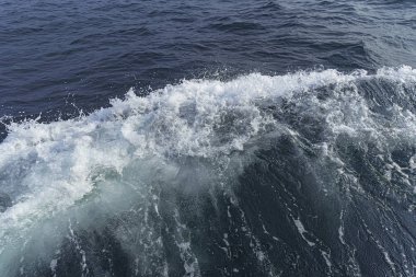 Denizin dalgaları breaking