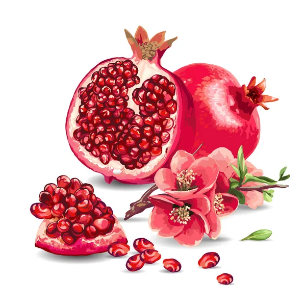 Fruit Pomegranate and pink flowers. — Stock Vector