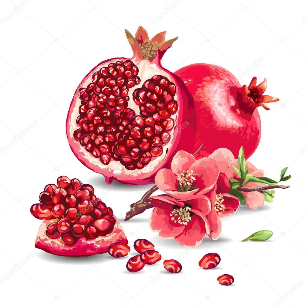 Fruit Pomegranate and pink flowers.