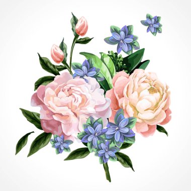 İzole peonies çiçekler.