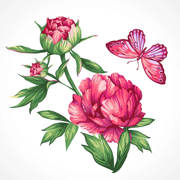 Disegno di peonie e farfalle — Vettoriale Stock