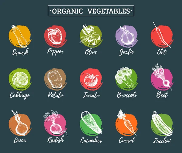 Organic vegetables logos set — Stock Vector