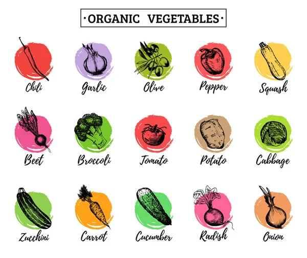 Organic vegetables logos set — Stock Vector
