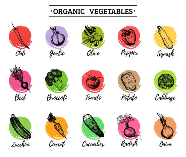 유기농 야채 로고 세트 — 스톡 벡터