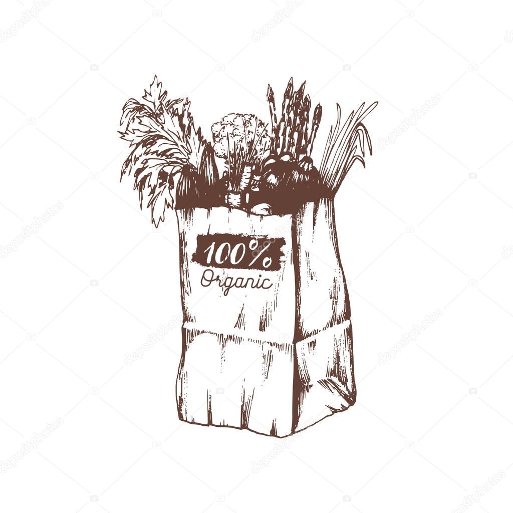 Organic food hand-drawn icon, vector illustration
