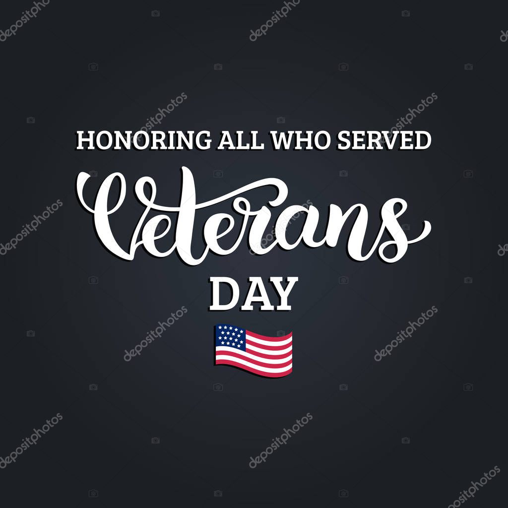 Veterans Day greeting card, vector illustration
