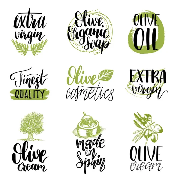 Sketched extra virgin oil set — Stock Vector