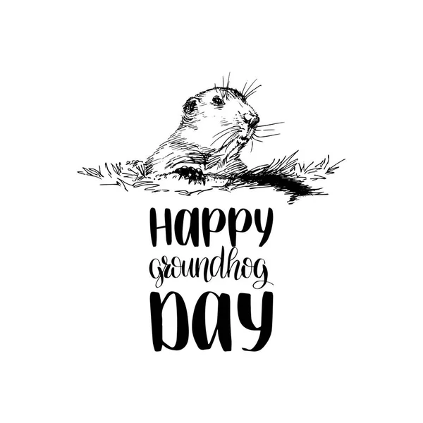Groundhog Day hand lettering — Stock Vector