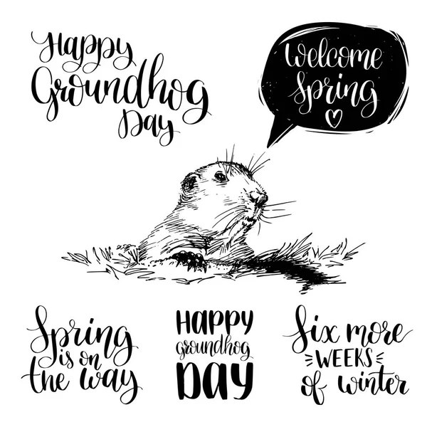 Lettering mão dia Groundhog — Vetor de Stock