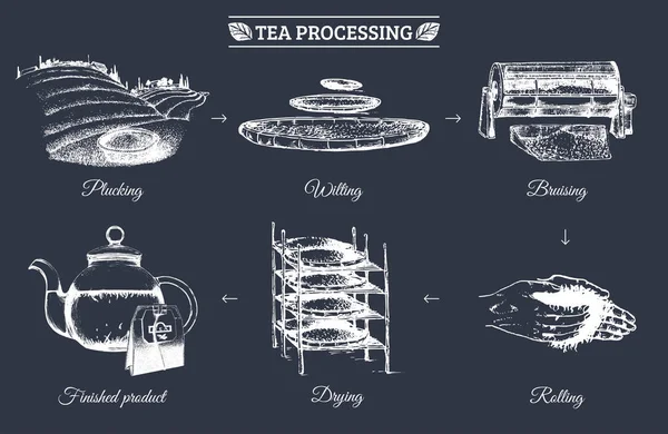 Zestaw elementów do herbaty prcessing — Wektor stockowy