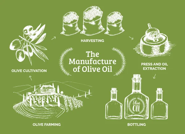 Regime de produção oleícola — Vetor de Stock