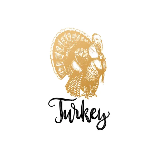 Hand bokstäver med Turkiet — Stock vektor