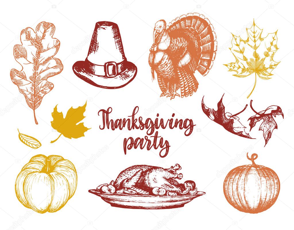 Vector Thanksgiving illustrations for invitations or festive greeting cards. Hand drawn sketches of pumpkin, turkey, leaves etc.