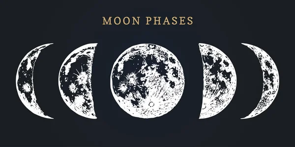 100,000 Moon phase Vector Images