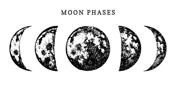 Affiche Monochrome Avec Phases Lune Sur Fond Blanc — Image vectorielle