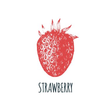 El çilek beyaz zemin üzerine çekilmiş. Meyve vektör Illustration. Vejetaryen yiyecekler kroki. Çiftlik market ürün.