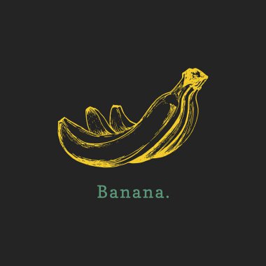 Elle muz siyah arka plan üzerine çizilmiş. Meyve vektör Illustration. Vejetaryen yiyecekler kroki. Çiftlik market ürün.