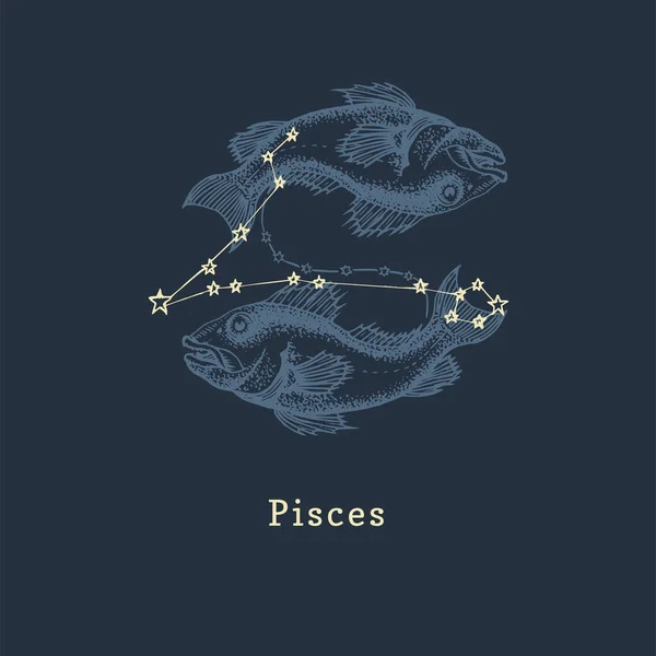 Constelación zodiacal de Piscis en estilo grabado. Ilustración vectorial retro gráfica del signo astrológico Peces . — Vector de stock