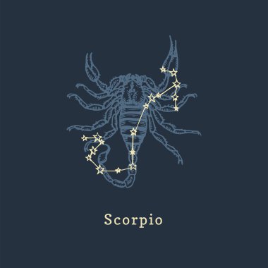 Akrep takımyıldızının oyma stili Zodiac. Astrolojik işaretin vektör retro grafik çizimi Scorpio.