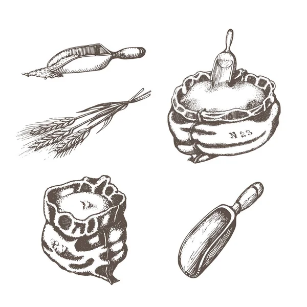 Ilustraciones gráficas de material molinero en vector. Conjunto de productos agrícolas dibujados a mano en estilo de grabado . — Archivo Imágenes Vectoriales